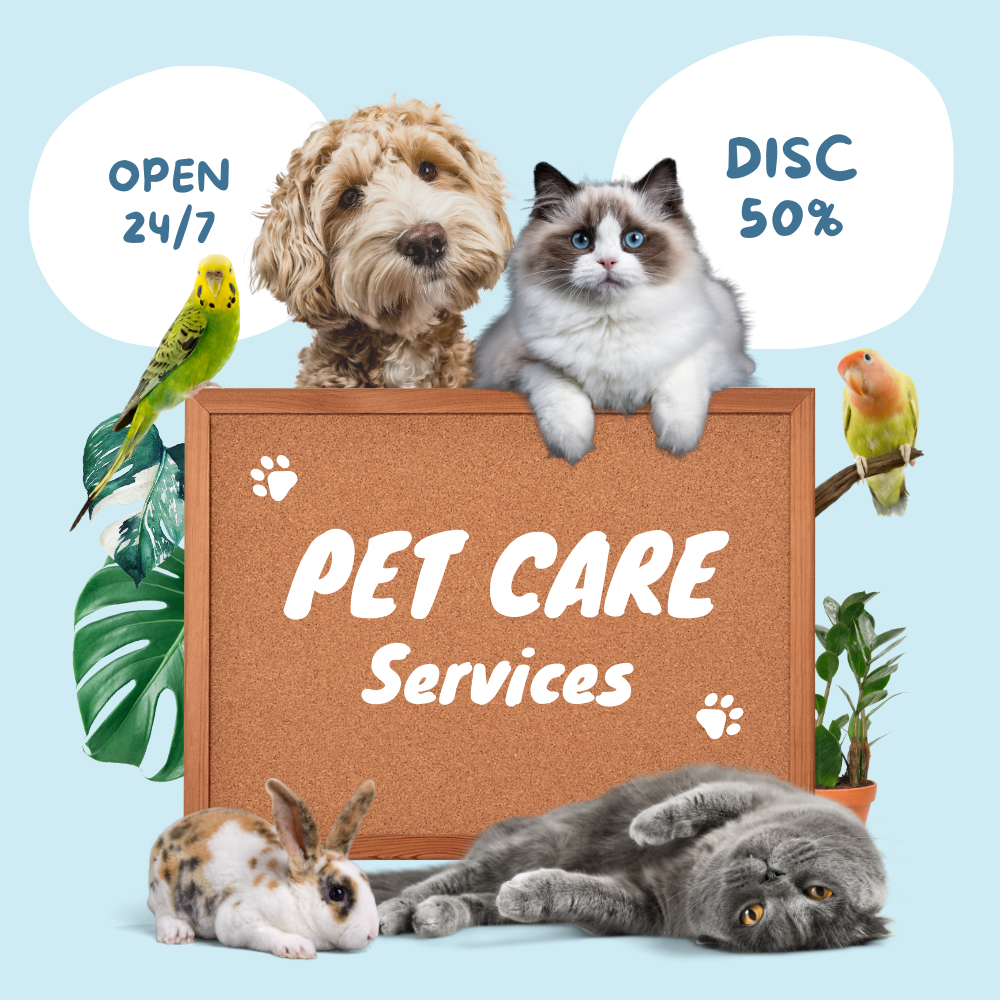 Pet Care